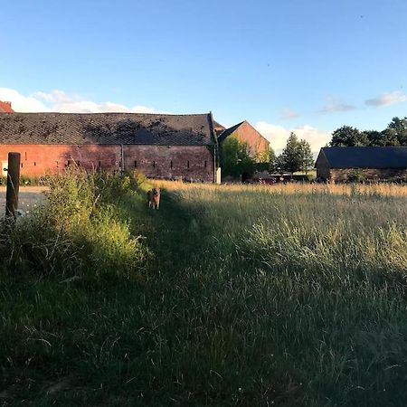 Le Cottage - Maison De 6 A 8 Personnes - La Ferme Du Try Frasnes-lez-Gosselies Exteriör bild