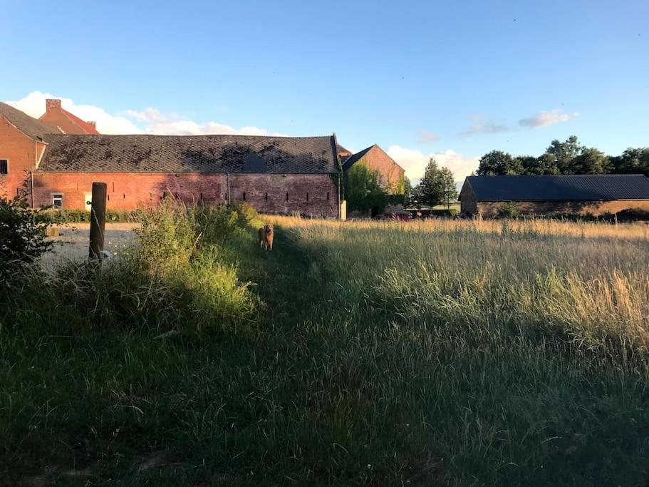Le Cottage - Maison De 6 A 8 Personnes - La Ferme Du Try Frasnes-lez-Gosselies Exteriör bild